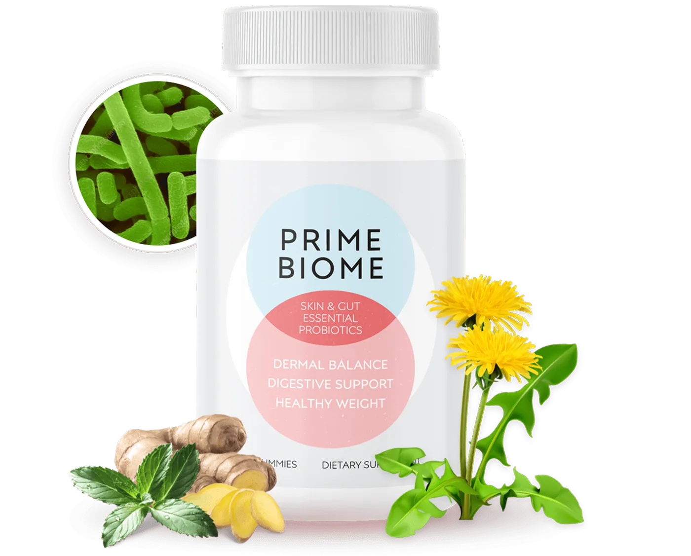Primebiome Mw Reviews - Gut Health & Digestion Supplement Bottle