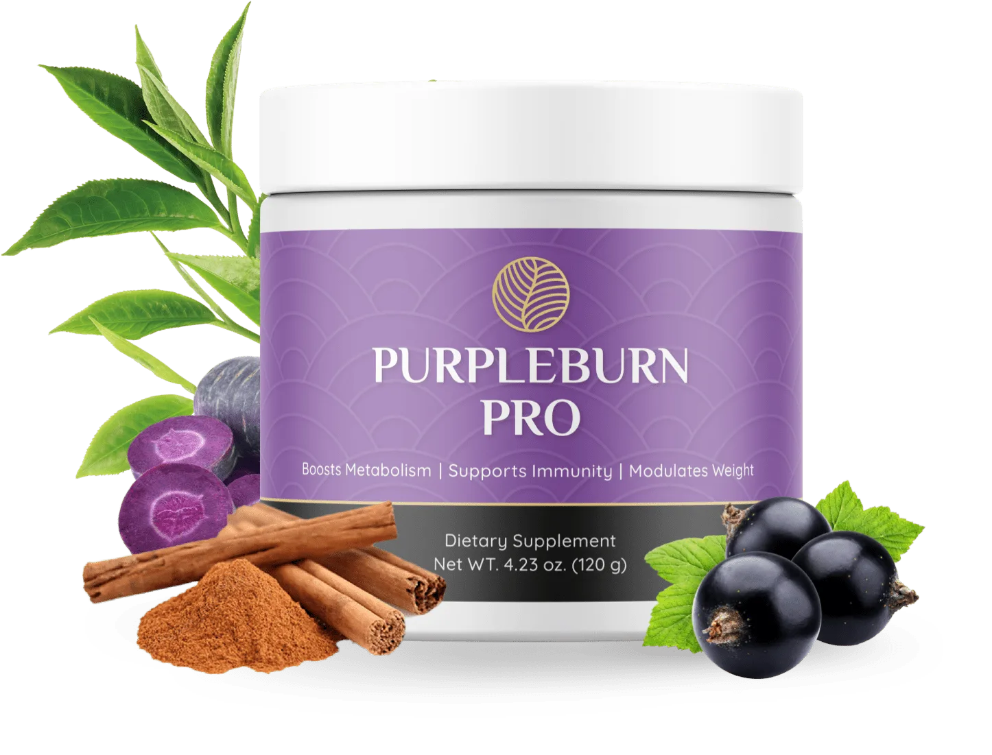 Purpleburn Pro Reviews - Weight Loss & Metabolism Supplement Bottle